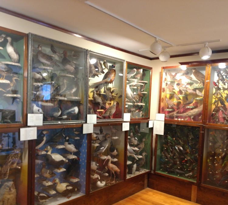 hoard-historical-museum-photo